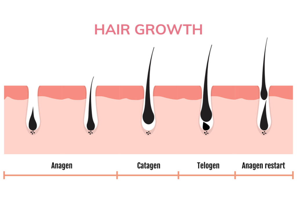 Hair Growth 1024x683 1